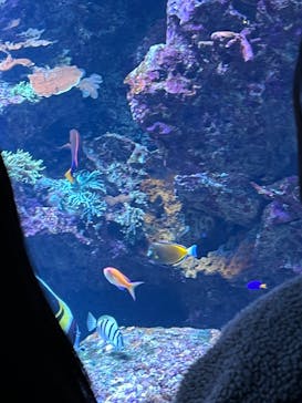 サンシャイン水族館に投稿された画像（2023/5/5）