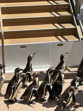 アクアワールド茨城県大洗水族館に投稿された画像（2023/5/5）