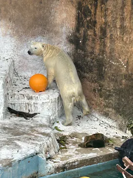 天王寺動物園に投稿された画像（2023/5/5）