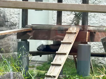 天王寺動物園に投稿された画像（2023/5/5）