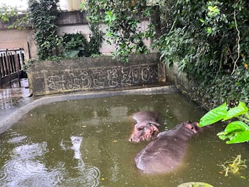 沖縄こどもの国に投稿された画像（2023/5/5）