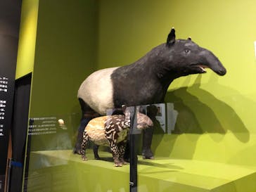 国立科学博物館に投稿された画像（2023/5/5）