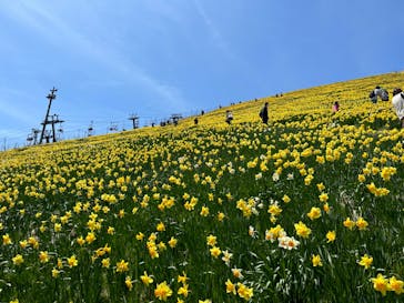 びわ湖バレイに投稿された画像（2023/5/4）