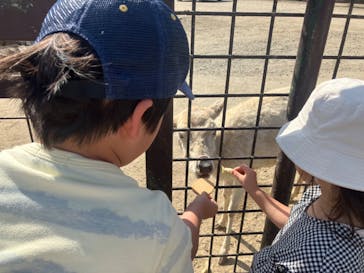 那須サファリパークに投稿された画像（2023/5/5）