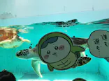 仙台うみの杜水族館に投稿された画像（2023/5/6）