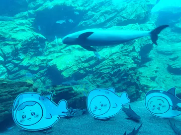 仙台うみの杜水族館に投稿された画像（2023/5/5）