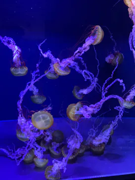 すみだ水族館に投稿された画像（2023/5/6）