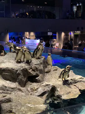 すみだ水族館に投稿された画像（2023/5/6）
