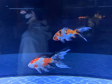 すみだ水族館に投稿された画像（2023/5/6）