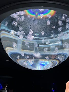 サンシャイン水族館に投稿された画像（2023/5/6）