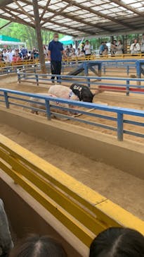 阿蘇カドリー・ドミニオンに投稿された画像（2023/5/6）