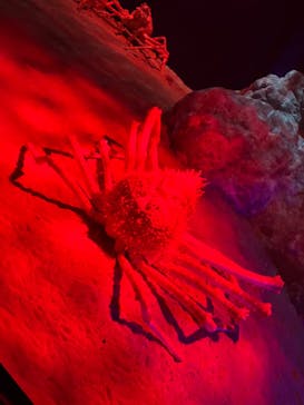 伊豆・三津シーパラダイスに投稿された画像（2023/5/6）