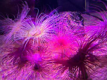 伊豆・三津シーパラダイスに投稿された画像（2023/5/6）