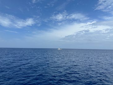 M.a.r.i.n.e Factoryに投稿された画像（2023/5/5）