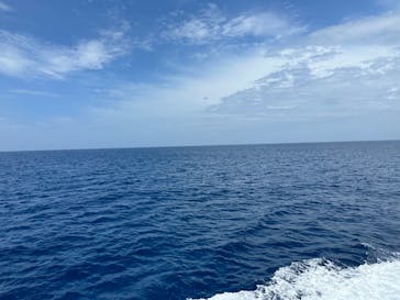 M.a.r.i.n.e Factoryに投稿された画像（2023/5/5）