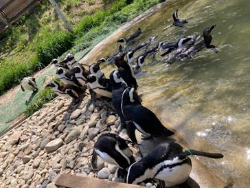 那須どうぶつ王国に投稿された画像（2023/5/6）