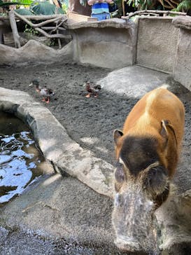 那須どうぶつ王国に投稿された画像（2023/5/6）