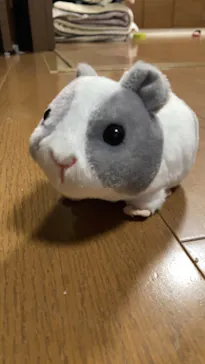 天王寺動物園に投稿された画像（2023/5/6）