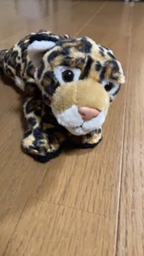 天王寺動物園に投稿された画像（2023/5/6）