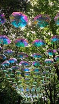 ムーミンバレーパークに投稿された画像（2023/5/6）