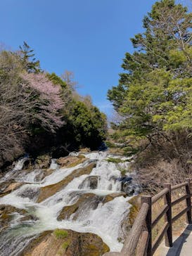 中禅寺金谷ホテル ダイニングルーム 「みずなら」に投稿された画像（2023/5/6）