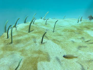 アクアワールド茨城県大洗水族館に投稿された画像（2023/5/6）