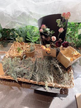 いばらきフラワーパークに投稿された画像（2023/5/6）