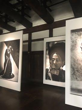 元離宮二条城に投稿された画像（2023/5/6）