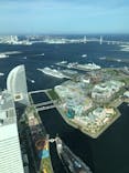 横浜ランドマークタワー 69階展望フロア スカイガーデンに投稿された画像（2023/5/6）