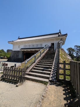 小田原城に投稿された画像（2023/5/6）