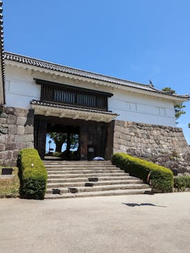 小田原城に投稿された画像（2023/5/6）