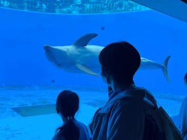 九十九島水族館海きららに投稿された画像（2023/5/6）