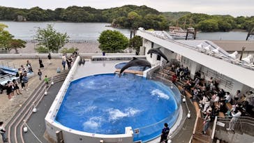 九十九島水族館海きららに投稿された画像（2023/5/6）