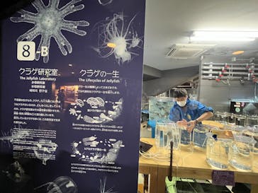 九十九島水族館海きららに投稿された画像（2023/5/6）