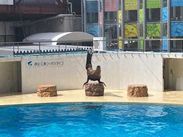 伊豆・三津シーパラダイスに投稿された画像（2023/5/6）