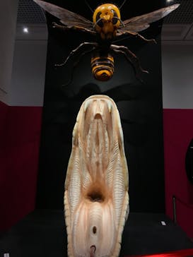 特別展「毒」に投稿された画像（2023/5/6）