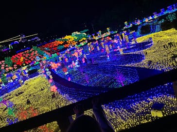 伊豆ぐらんぱる公園に投稿された画像（2023/5/6）