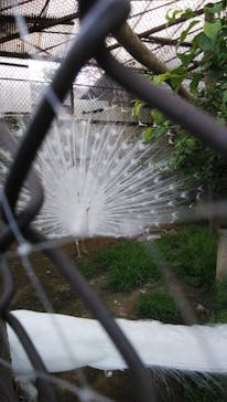 那須ワールドモンキーパークに投稿された画像（2023/5/6）