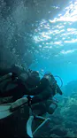 武藤潜水に投稿された画像（2023/5/6）