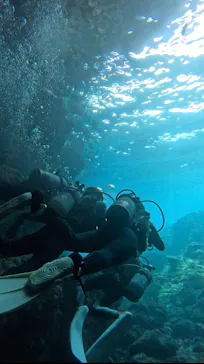 武藤潜水に投稿された画像（2023/5/6）