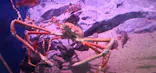 名古屋港水族館に投稿された画像（2023/5/6）