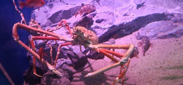 名古屋港水族館に投稿された画像（2023/5/6）