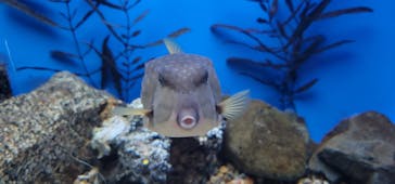 名古屋港水族館に投稿された画像（2023/5/6）