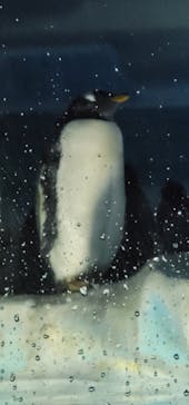 名古屋港水族館に投稿された画像（2023/5/6）