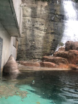 城崎マリンワールドに投稿された画像（2023/5/6）