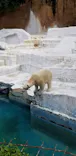 天王寺動物園に投稿された画像（2023/5/6）