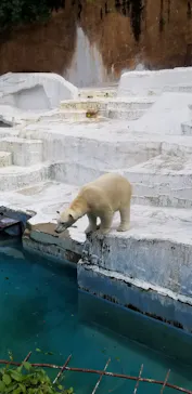 天王寺動物園に投稿された画像（2023/5/6）