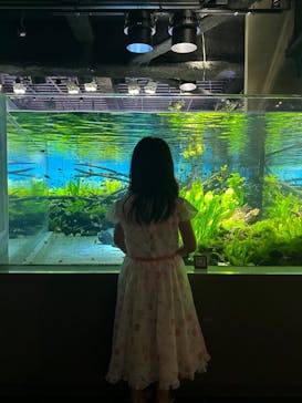 カワスイ 川崎⽔族館に投稿された画像（2023/5/6）