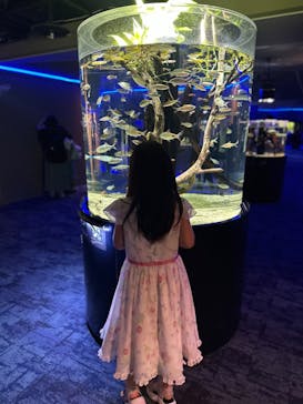 カワスイ 川崎⽔族館に投稿された画像（2023/5/6）
