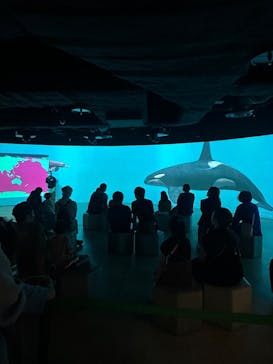 カワスイ 川崎⽔族館に投稿された画像（2023/5/6）